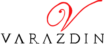 VZ LOGO